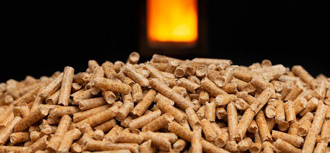 7335001d9632570816d993cd621a9943